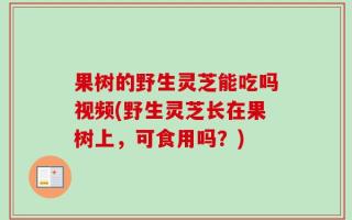 果树的野生灵芝能吃吗视频(野生灵芝长在果树上，可食用吗？)