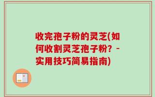 收完孢子粉的灵芝(如何收割灵芝孢子粉？-实用技巧简易指南)