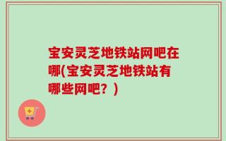 宝安灵芝地铁站网吧在哪(宝安灵芝地铁站有哪些网吧？)