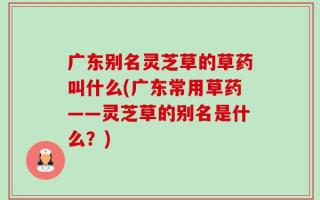 广东别名灵芝草的草药叫什么(广东常用草药——灵芝草的别名是什么？)