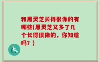 和黑灵芝长得很像的有哪些(黑灵芝又多了几个长得很像的，你知道吗？)