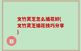 文竹灵芝怎么插花好(文竹灵芝插花技巧分享)