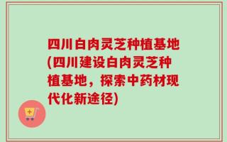 四川白肉灵芝种植基地(四川建设白肉灵芝种植基地，探索中药材现代化新途径)