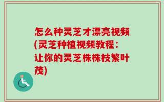 怎么种灵芝才漂亮视频(灵芝种植视频教程：让你的灵芝株株枝繁叶茂)