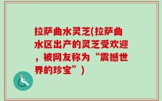 拉萨曲水灵芝(拉萨曲水区出产的灵芝受欢迎，被网友称为“震撼世界的珍宝”)