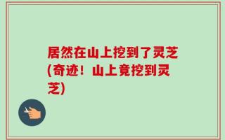 居然在山上挖到了灵芝(奇迹！山上竟挖到灵芝)