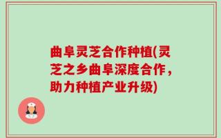 曲阜灵芝合作种植(灵芝之乡曲阜深度合作，助力种植产业升级)