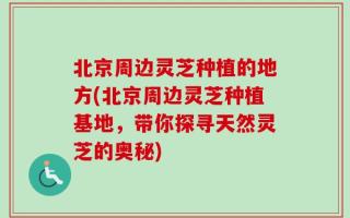 北京周边灵芝种植的地方(北京周边灵芝种植基地，带你探寻天然灵芝的奥秘)