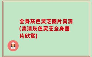 全身灰色灵芝图片高清(高清灰色灵芝全身图片欣赏)