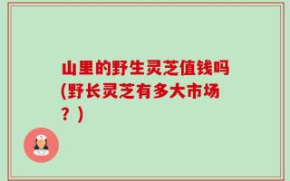 山里的野生灵芝值钱吗(野长灵芝有多大市场？)