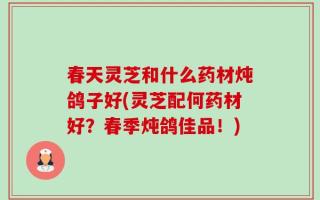 春天灵芝和什么药材炖鸽子好(灵芝配何药材好？春季炖鸽佳品！)