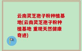 云南灵芝孢子粉种植基地(云南灵芝孢子粉种植基地 重现天然健康奇迹)