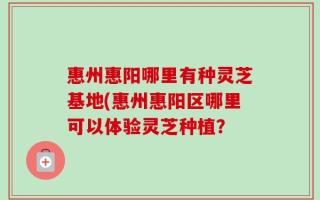 惠州惠阳哪里有种灵芝基地(惠州惠阳区哪里可以体验灵芝种植？