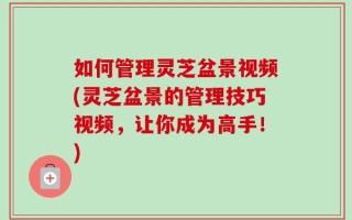 如何管理灵芝盆景视频(灵芝盆景的管理技巧视频，让你成为高手！)