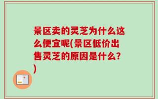 景区卖的灵芝为什么这么便宜呢(景区低价出售灵芝的原因是什么？)