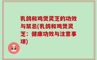 乳鸽和鸡煲灵芝的功效与禁忌(乳鸽和鸡煲灵芝：健康功效与注意事项)