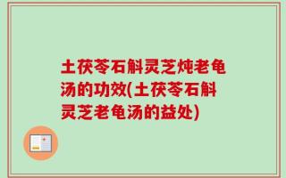 土茯苓石斛灵芝炖老龟汤的功效(土茯苓石斛灵芝老龟汤的益处)