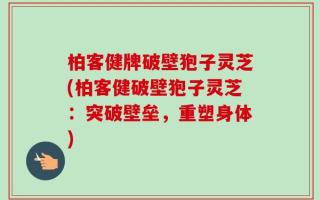 柏客健牌破壁狍子灵芝(柏客健破壁狍子灵芝：突破壁垒，重塑身体)