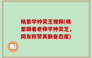 杨紫学种灵芝视频(杨紫跟着老师学种灵芝，网友称赞其勤奋态度)