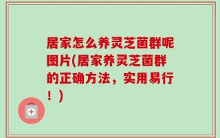 居家怎么养灵芝菌群呢图片(居家养灵芝菌群的正确方法，实用易行！)