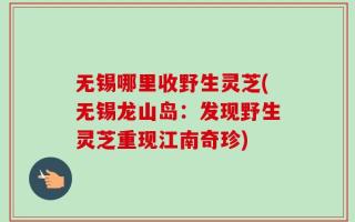 无锡哪里收野生灵芝(无锡龙山岛：发现野生灵芝重现江南奇珍)