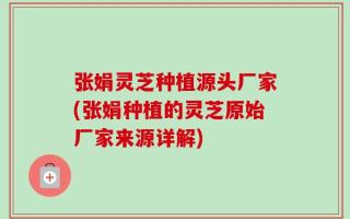 张娟灵芝种植源头厂家(张娟种植的灵芝原始厂家来源详解)
