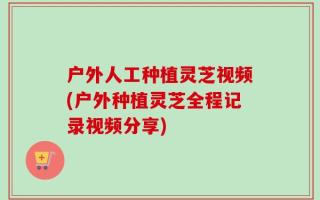 户外人工种植灵芝视频(户外种植灵芝全程记录视频分享)