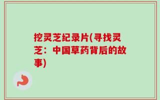 挖灵芝纪录片(寻找灵芝：中国草药背后的故事)