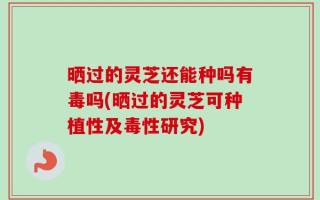 晒过的灵芝还能种吗有毒吗(晒过的灵芝可种植性及毒性研究)