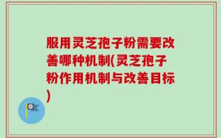 服用灵芝孢子粉需要改善哪种机制(灵芝孢子粉作用机制与改善目标)