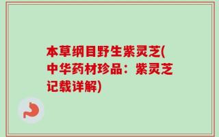 本草纲目野生紫灵芝(中华药材珍品：紫灵芝记载详解)