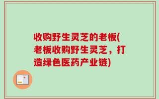 收购野生灵芝的老板(老板收购野生灵芝，打造绿色医药产业链)