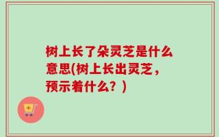 树上长了朵灵芝是什么意思(树上长出灵芝，预示着什么？)