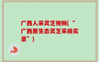 广西人采灵芝视频(“广西原生态灵芝采摘实录”)