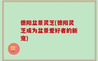 德阳盆景灵芝(德阳灵芝成为盆景爱好者的新宠)