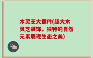 木灵芝大摆件(超大木灵芝装饰，独特的自然元素展现生态之美)