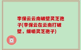 李保云云南破壁灵芝孢子(李保云在云南打破壁，细嚼灵芝孢子)