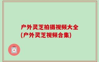 户外灵芝拍摄视频大全(户外灵芝视频合集)