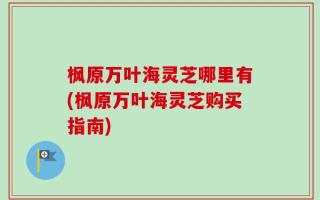 枫原万叶海灵芝哪里有(枫原万叶海灵芝购买指南)