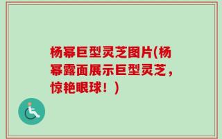 杨幂巨型灵芝图片(杨幂露面展示巨型灵芝，惊艳眼球！)
