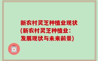 新农村灵芝种植业现状(新农村灵芝种植业：发展现状与未来前景)