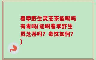 春季野生灵芝茶能喝吗有毒吗(能喝春季野生灵芝茶吗？毒性如何？)