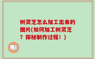 树灵芝怎么加工出来的图片(如何加工树灵芝？探秘制作过程！)