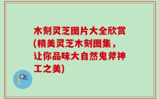 木刻灵芝图片大全欣赏(精美灵芝木刻图集，让你品味大自然鬼斧神工之美)