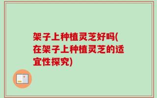 架子上种植灵芝好吗(在架子上种植灵芝的适宜性探究)