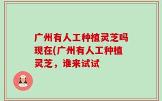 广州有人工种植灵芝吗现在(广州有人工种植灵芝，谁来试试