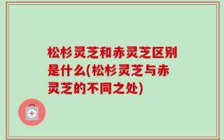 松杉灵芝和赤灵芝区别是什么(松杉灵芝与赤灵芝的不同之处)