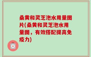 桑黄和灵芝泡水用量图片(桑黄和灵芝泡水用量图，有效搭配提高免疫力)
