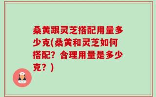 桑黄跟灵芝搭配用量多少克(桑黄和灵芝如何搭配？合理用量是多少克？)
