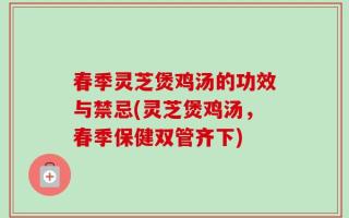 春季灵芝煲鸡汤的功效与禁忌(灵芝煲鸡汤，春季保健双管齐下)